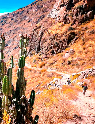 Perú Místico & Altiplánico